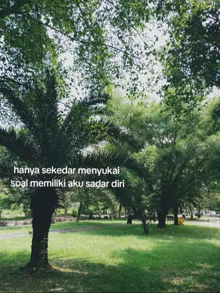 📝Bahan-bahan: •6 lembar roti tawar •4 butir telur •200ml susu UHT Frisian Flag Full Cream •140gr Frisian Flag Keju Cheddar, parut secukupnya Cara membuat: •Kocok lepas telur, susu UHT Frisian Flag Full Cream, dan parutan Frisian Flag Keju Cheddar hingga tercampur rata. •Potong roti jadi beberapa bagian. Panaskan teflon dengan olesan butter. •Celupkan roti ke adonan, lalu panggang di teflon selama 3 menit dengan api kecil. •Balik roti, panggang lagi sekitar 2 menit. •Ulangi sampai semua roti matang keemasan. •Anda juga dapat menggunakan keju mozarella untuk membuat roti bakar mozarella. #foryoupage #fypシ゚ 