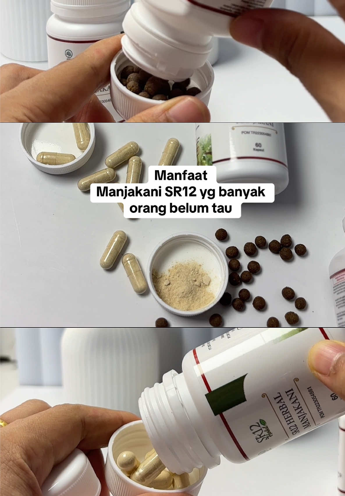 Manjakani SR12 ternyata punya banyak manfaat loh #fyppppppppppppppppppppppp #manjakanisr12 #manjasr12 #keputihan #manjakani 
