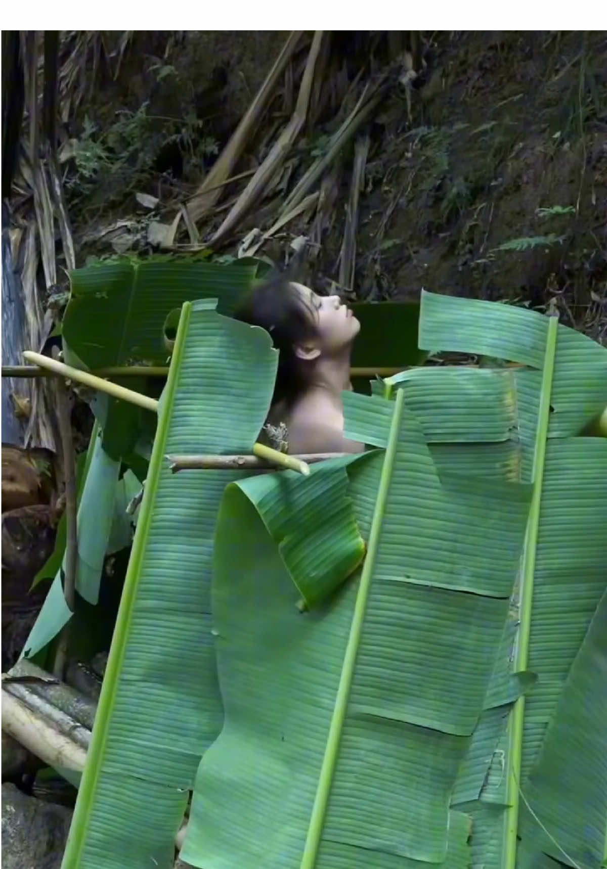 Cô gái sống một mình trong rừng #camping #camtrai #camtraitrongrung #sinhton #survival 