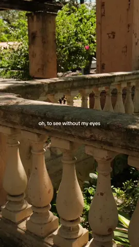 humming this song while i walk through this part of town 🤍  #BookTok #callmebyyourname #cinematic #nostalgia  #creatorsearchinsights 