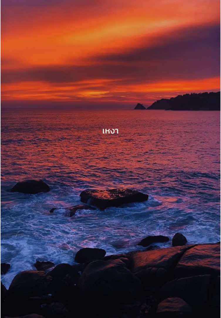 อยากมีแฟน แต่ไม่ตอบใคร #แคปชั่น #คําคมชีวิต #คําคมความรู้สึก #คําคมสอนใจ #แคปชั่นคําคม #คําคมความรู้สึก #อย่าปิดการมองเห็น  #ขึ้นฟีดเถอะขอร้อง  #คำคมโดนใจ#คําคมโดนใจpjupjup ##jupjupjup_09##CapCut