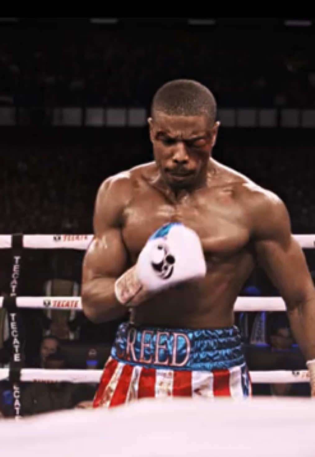CREED | #creed #creededit #edit #fyp #viral 