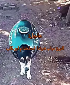 #fyp 