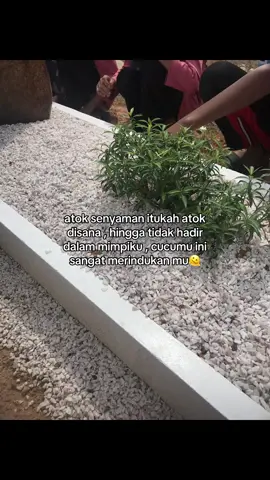 al fatihah atok🤍🫠#imysm #alfatihah 