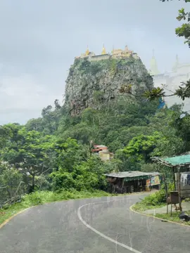 ပုပ္ပါးမြေက ပန်းတော်ဆက်တဲ့ ကိုဗျတ္တလိုကွယ်🌸🌸🌸 #ThetNaing_Photography #ThetNaing_TukTuk #foryoupage #ပုပ္ပါးတောင်တက်လမ်းအနီး 