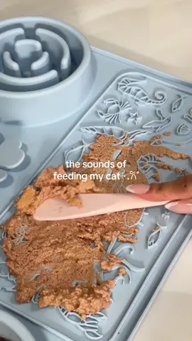 Asmr cat food sounds 🤤 #asmr #asmrsounds #catfood #feedmycat 
