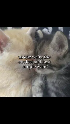 hehe😼 #Love #couple #mylove #amor #mwah #ilysm #iloveyou #fyp #couplegoals #ily #relatable 