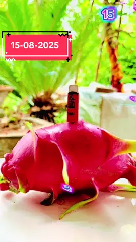 Yêu từ đâu mà ra #xuhuong #tamlinh #giadinhthanthuong #nhachaymoingay #trendingvideo 