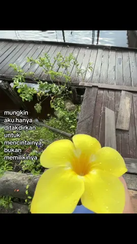 #4u #xybca #fypage #fypシ゚ #crush 