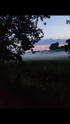 evening fog. #denmark #scandinavia #hardcore #missk8 #fog 