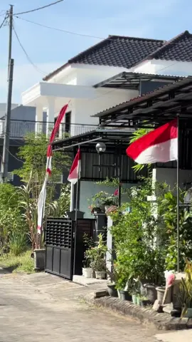 Abu bukan sembarang abu 😂#kucingabuabu #catsoftiktok #kucingponorogo 