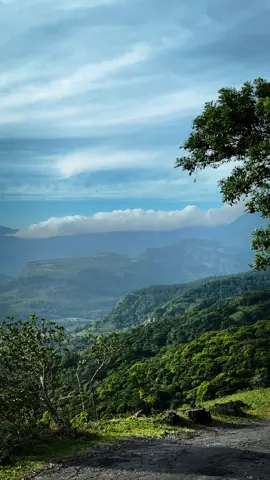 Boundless  #NatureVibes #MountainViews #GreenVibes #NatureLovers #naturephotography 