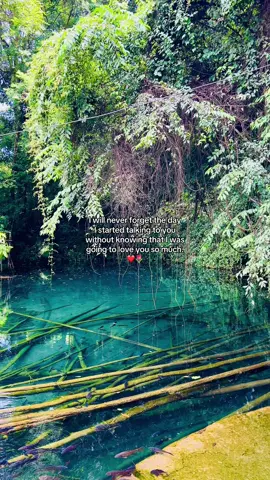 Episode-1680… I will never forget the day I started talking to you without knowing that I was going to love you so much❤️🌷 #rachanaraai 