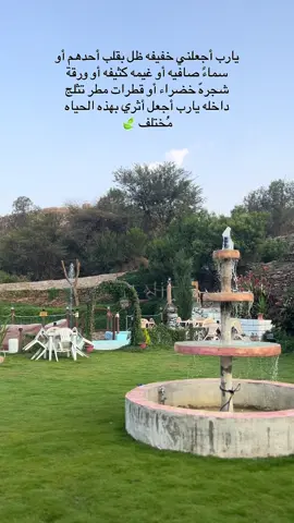#اكسبلورexplore 