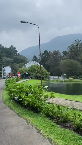 Rumah Kaca✨ #sewakursilipat #sewakursilipat #kebunrayacibodas #puncak #Sewakursi 