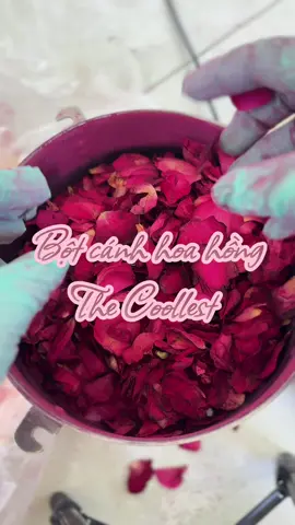 Đợi ẻm mòn mỏi mấy bà ơi nhưng ẻm đẹp quá 🌷🌷🌷#botcanhhoahongnguyenchat #thecoollest 