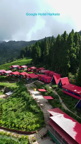 Google Hotel Harkate🥰 #foryou #drone #dronevideo #viral 