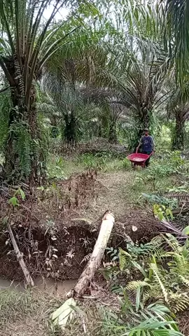 konten #hiburan komedi#kocak 