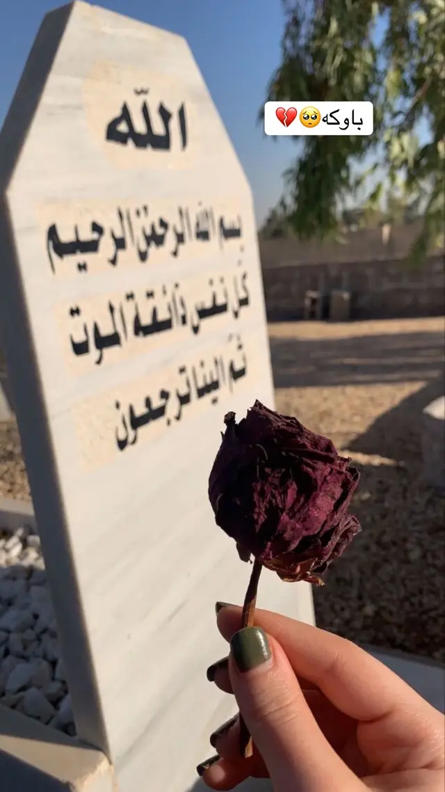 ژیان بە بێ باوک وەک چرایەکی کوژاوەیە هیچ کەس ناتوانێ شوێنی بگرێتەوە درۆیە ئەلێن برا جێی باوک ئەگرێتەوە هیچ کەس ناتوانێ ئەو نازەی کە باوک پێت ئەدا وەک ئەو بێت کەس ناتوانێ بە کچە جوانەکەم بانگ و بکا وەک ئەو هیچ باوەشێک وەک باوەشی باوکت نابێ بۆت لەم ژیانە💔🥺🖤