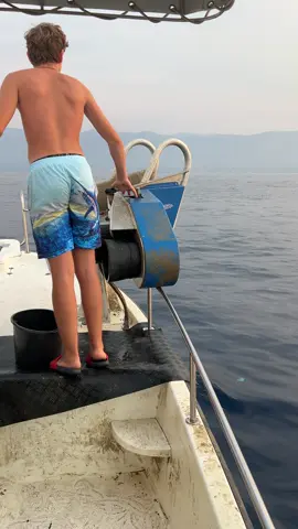 #viralll #fyp #fishing #swordfish #montenegro🇲🇪 
