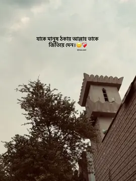 Hea 🙂❤️‍🩹#fypシ゚ #foryou #foryoupage 