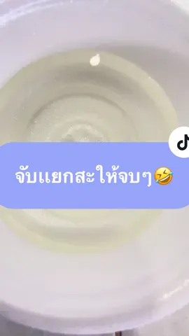 จับเเยกเเต่เด็ก#UdonBettaFarm #เพาะพันธุ์ปลากัด #ปลากัดหูช้าง #มือใหม่หัดทํา #เลี้ยงปลากัด 