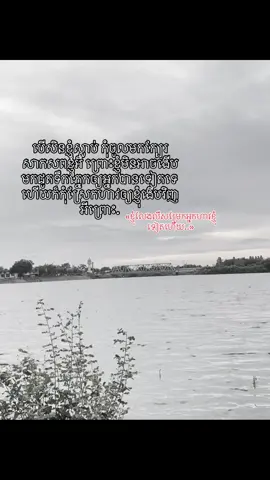 #pfypシ #foryour …🕊️