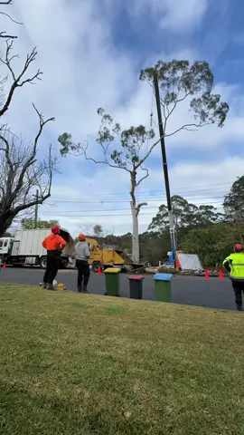 Do you prefer crane work or manual climbing? 🚨 Watch this massive gum tree disappear in minutes! 🌳💪  Watch as we removed a huge gum tree in Sydney overhanging power lines using a crane — all captured in a smooth timelapse. Our professional team made it look easy, but gum tree removals require precision, safety, and the right equipment. We specialise in: ✅ Large tree removals ✅ Crane-assisted tree work ✅ Storm damage & emergency response ✅ Strata & insurance jobs Whether it’s a dangerous gum overhanging your home or a tight-access removal, we’ve got the skills, machinery, and insurance to handle it safely and efficiently. 📍 Servicing Sydney and surrounding areas. 📞 Free quotes  #treeremoval #treework #crane #arborist #sydney 