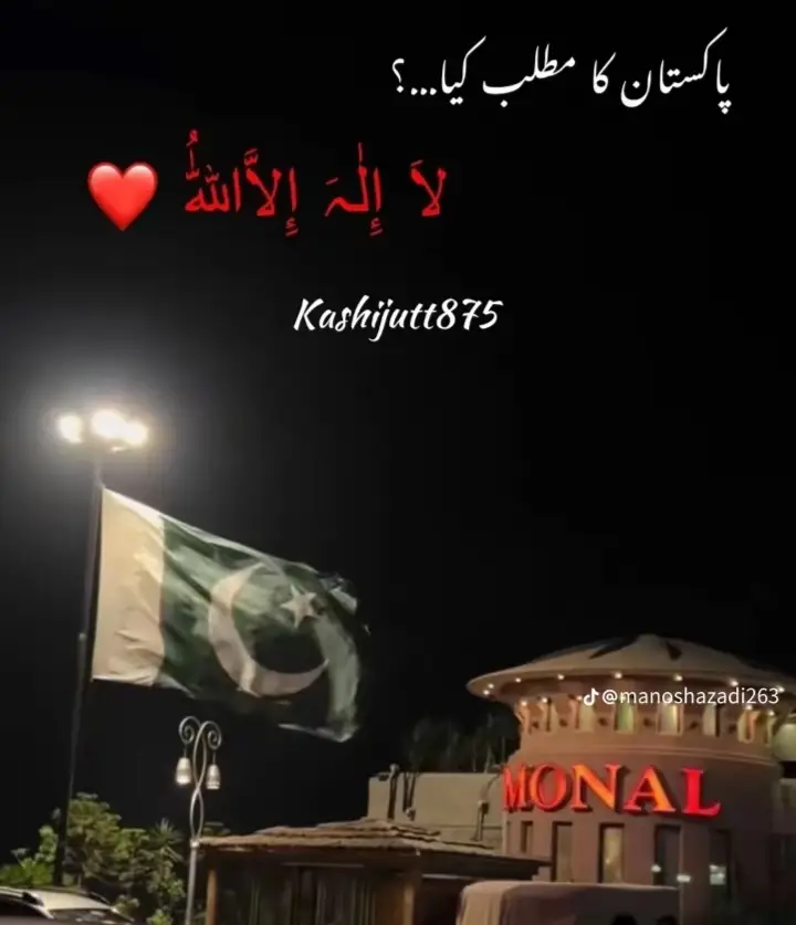 #pakistanzindabad🇵🇰🇵🇰💪 #100kviews #pleasesupportme🥀🥀 #creatorsearchinsights #Pakistanzindabad🇵🇰🇵🇰 