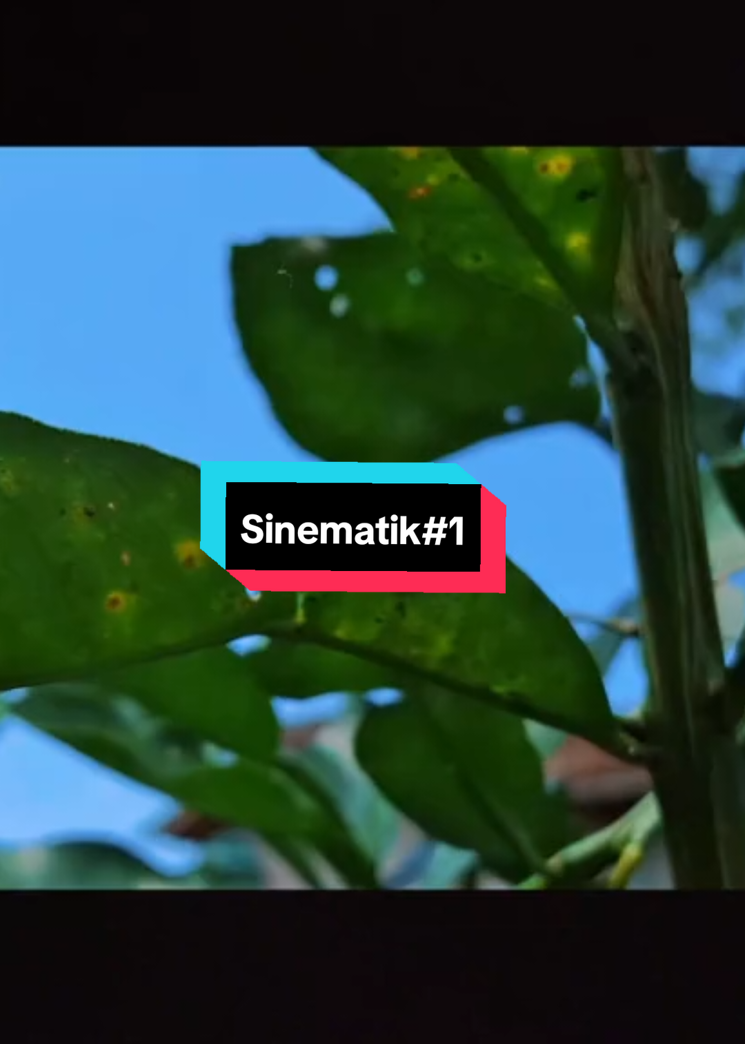 #CapCut #edit #fyp #aesthetics  #cinematic 