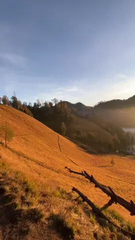 Lost in the beauty of Ranukumbolo, found in the calm of nature.#ranukumbolo #semeru 