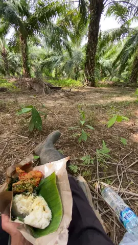 #petaniindonesia🇮🇩🇮🇩🇮🇩🌿🌿 #petanisawit #kuliboy🤙😜🚀 