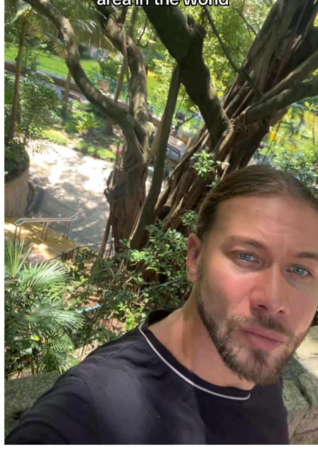 This park used to be the most densely populated place in the whole world #hongkong #hongkongtiktok #kowloon #kowloonwalledcity #fyp 