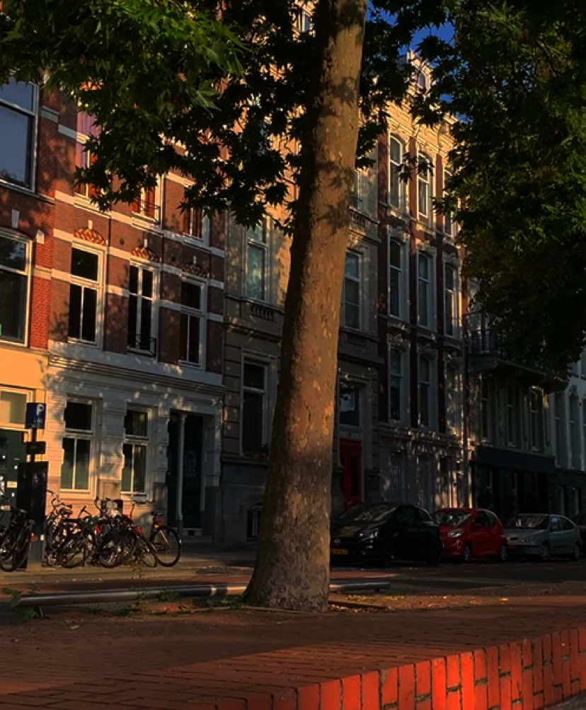 плейлисты лайф и прочее в тгк: лесная арка #atmosphere #real #саундклауд 