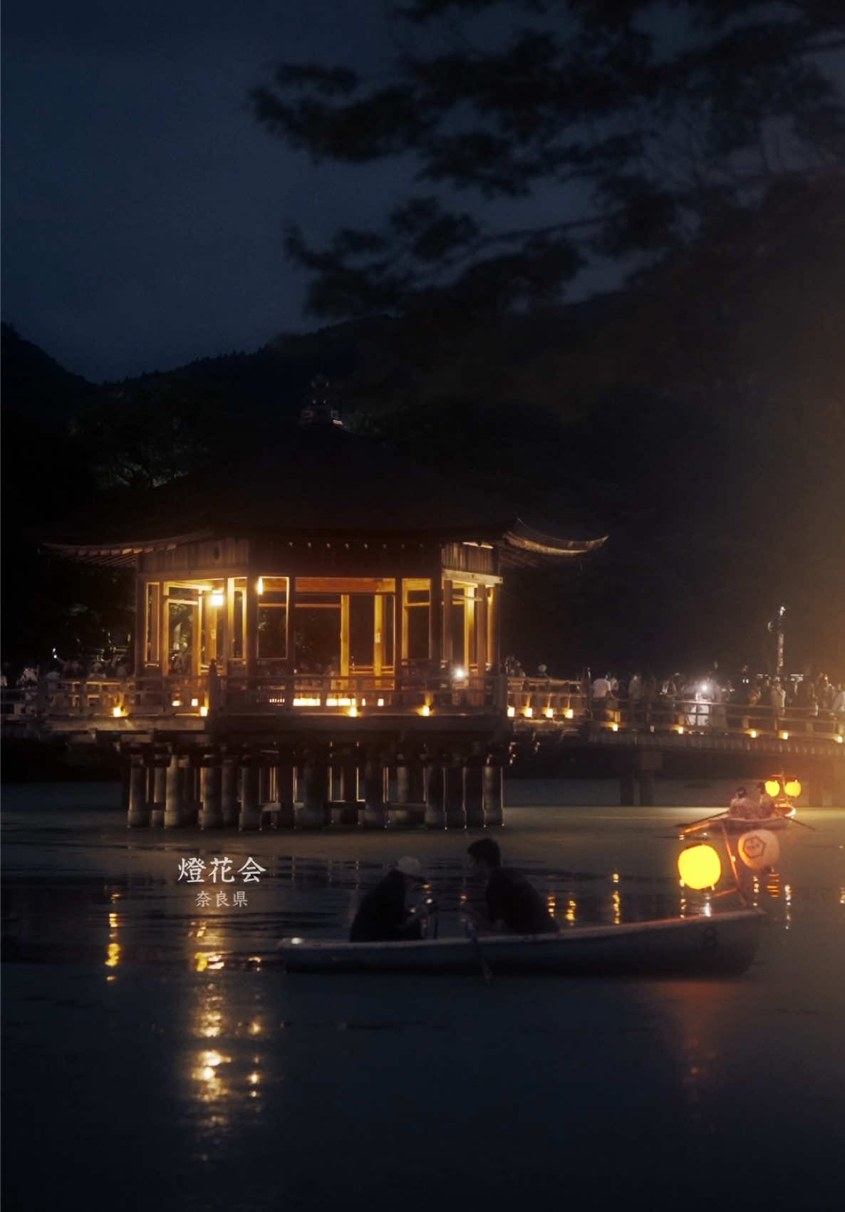 奈良の景色/燈花会