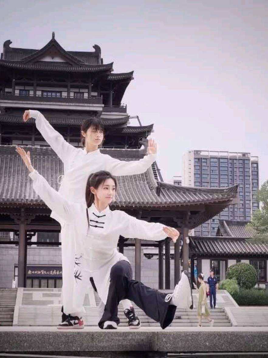 不着于相，不困于行#太极 #精卫