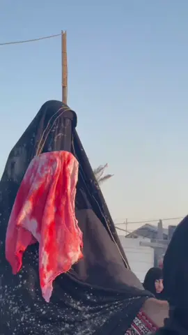 #زيارة_الأربعين #زينب#السبايا