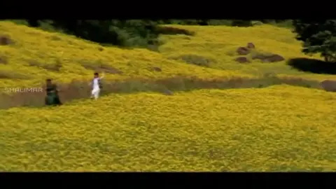 #duet what #Relationship #unfreezemyacount 🌾☘️🌿