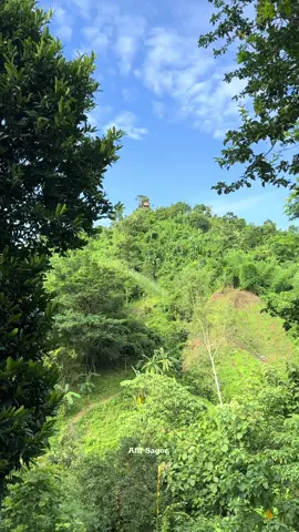 লাস্ট কবে পাহাড় দেখতে এসেছিলেন?🙂 #afif_sagor #travel #explorer #adventure #foryou 