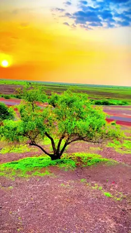 #مشاهير_تيك_توك_مشاهير_العرب #سودانيز_تيك_توك_مشاهير_السودان🇸🇩 #قضارف_الخير💓💓💓💓🌹🖐 