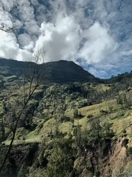 #CapCut #4u #foryoupage #galaubrutal 