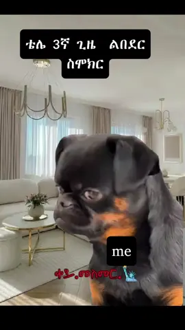 #memestiktok #ethiopianmeme #ethiopian_tik_tok 