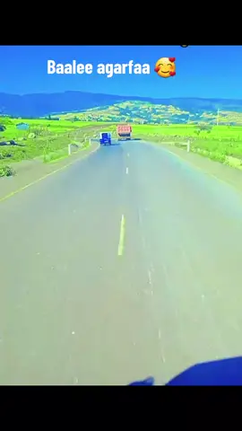 #creatorsearchinsights #agarfaa #oromotiktok #ethiopian_tik_tok #fyp 🖤❤️‍🩹