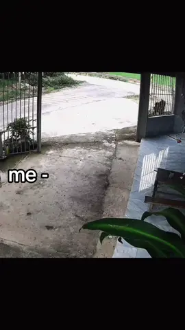 #fypシ゚ #ကြိုက်လို့ပြန်တင်#ဘဝတူညီကိုတေပါ🥺#