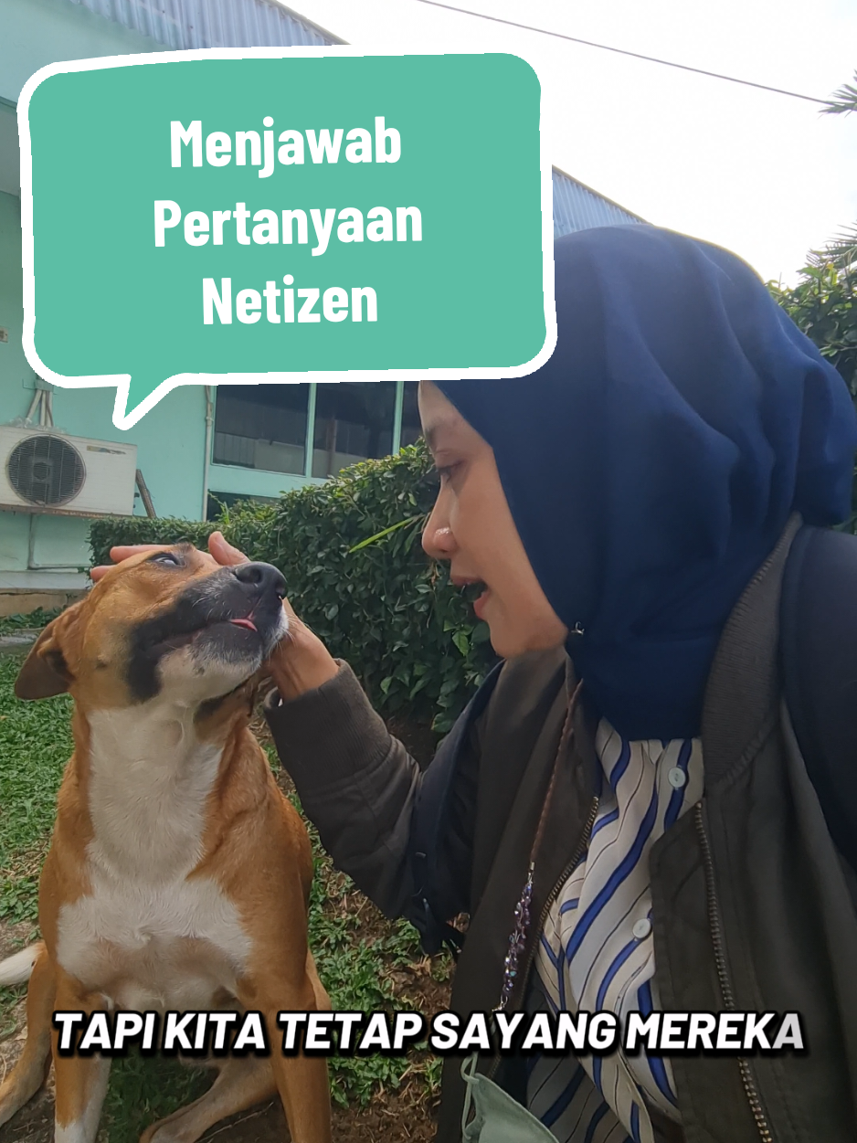 My dogs semua stray, nemu dihutan waktu mereka masih baby dan saya tidak tega untuk meninggalkan mereka. Saya bukan sengaja plihara, mereka stray, diselamatkan. Anjing juga ciptaan Allah, dan kita sebagai manusia tau cara membersihkan najis. Jadi, menurut saya mari tetap sayangi semua makhluk ciptaan Nya..#straydog #happydog #darihati #Love #bahagia 