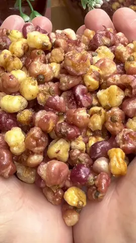 Ngô Nếp Nương Tím Điện Biên sấy giòn #cotrangreivew1 #ancungtiktok #ngonepnuongtimranggion #ngoneptim #LearnOnTikTok 