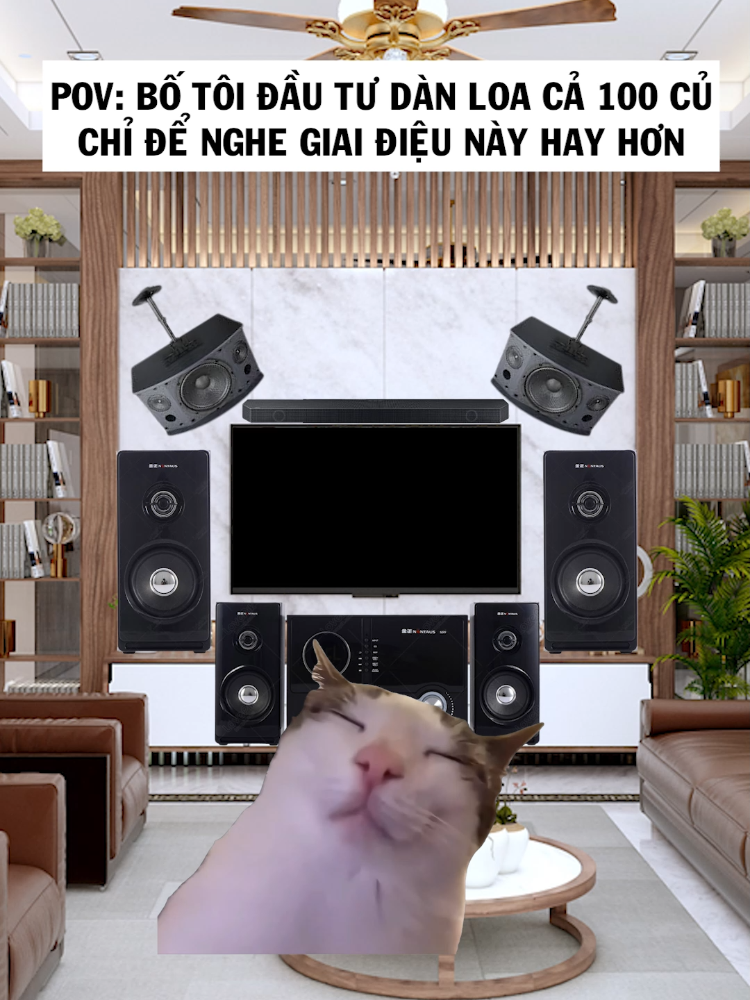 Nhất là vào buổi sáng sớm, ngày giỗ và ngày lễ #meme #cat #nupgamgiuong #fyp #j4f #funny #foryou