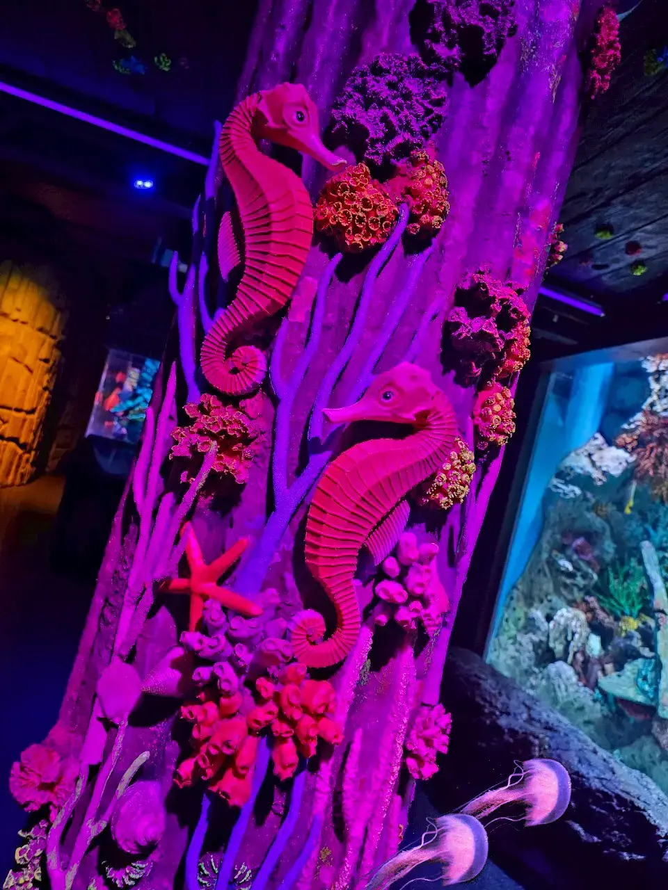 #aquarium #tiktok 
