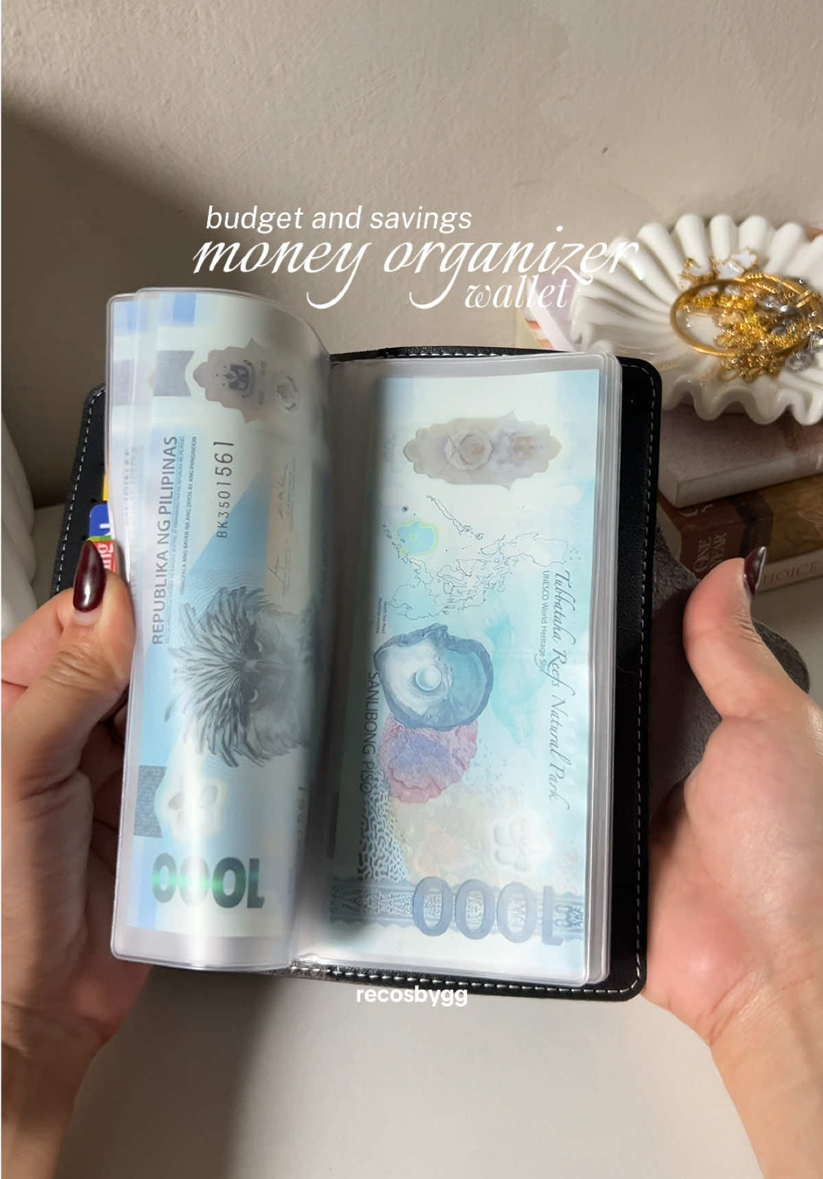 saving for the holiday season? or you just want to keep your money and budget organized?  this slim money organizer is perfect as a budget or savings money organizer wallet!  #moneyorganizer #moneybinder #budgetbinder #moneyorganization #wallet