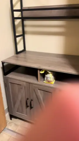 I absolutely love this! More videos coming soon about this✨ #tiktokshop #viral #cat #kitten #litterbox #hideaway #trending 